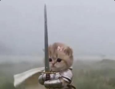 The tiny armored cat holding a sword in this post